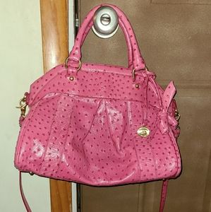 Brahmin purse